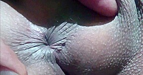 Passionate Encounter with a Beautiful Cat