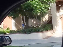 Sydney Capri – Sensual Encounter with a Bold Black Beauty